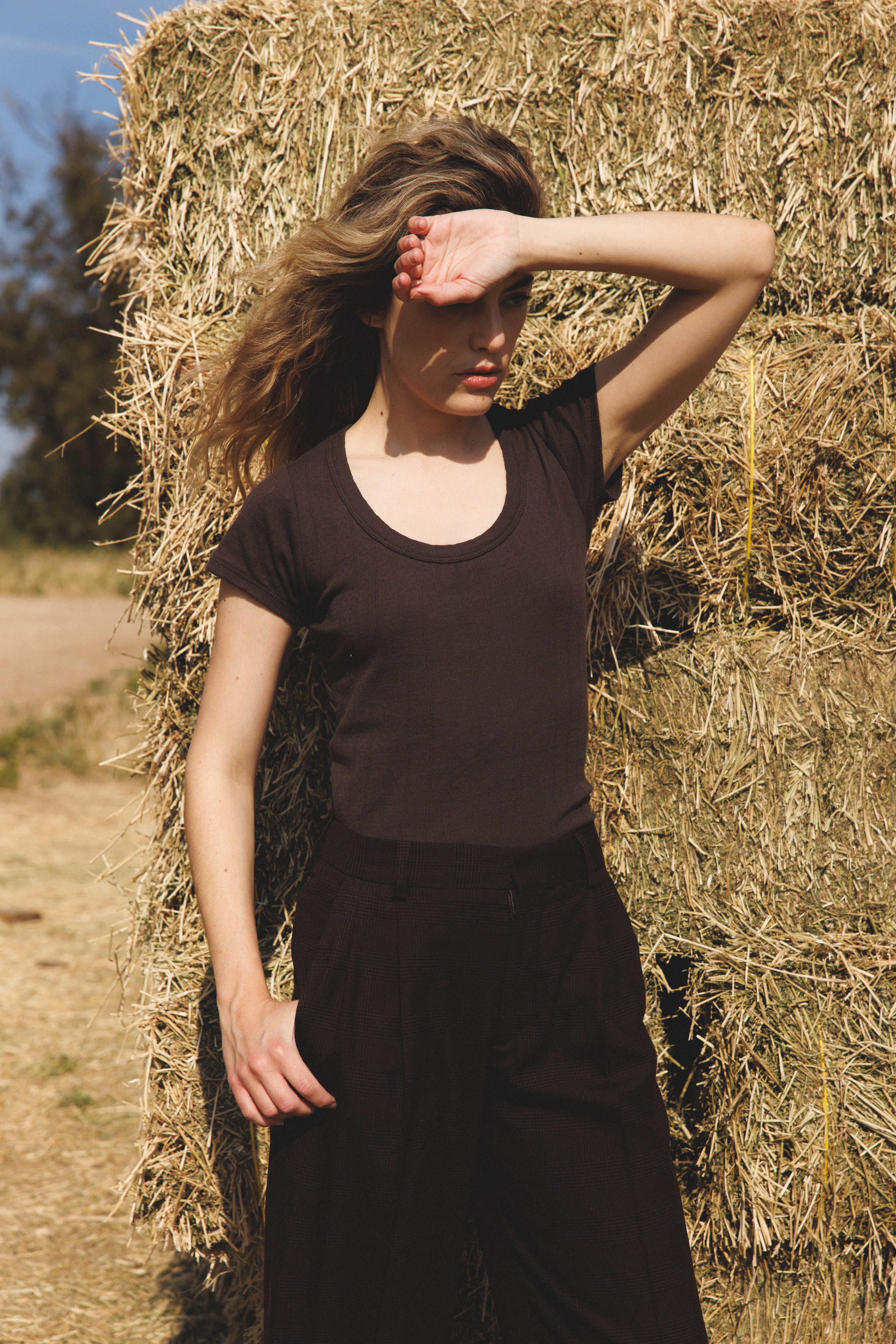 Pointelle tee in dark brown made of 100% cotton featuring a flattering scoop neckline - VIR VITA
#color_espresso